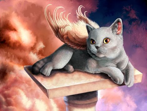 angel-cat-clouds-fantasy-feathers-favim.com-155183.jpg